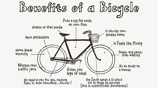 Bike Rental