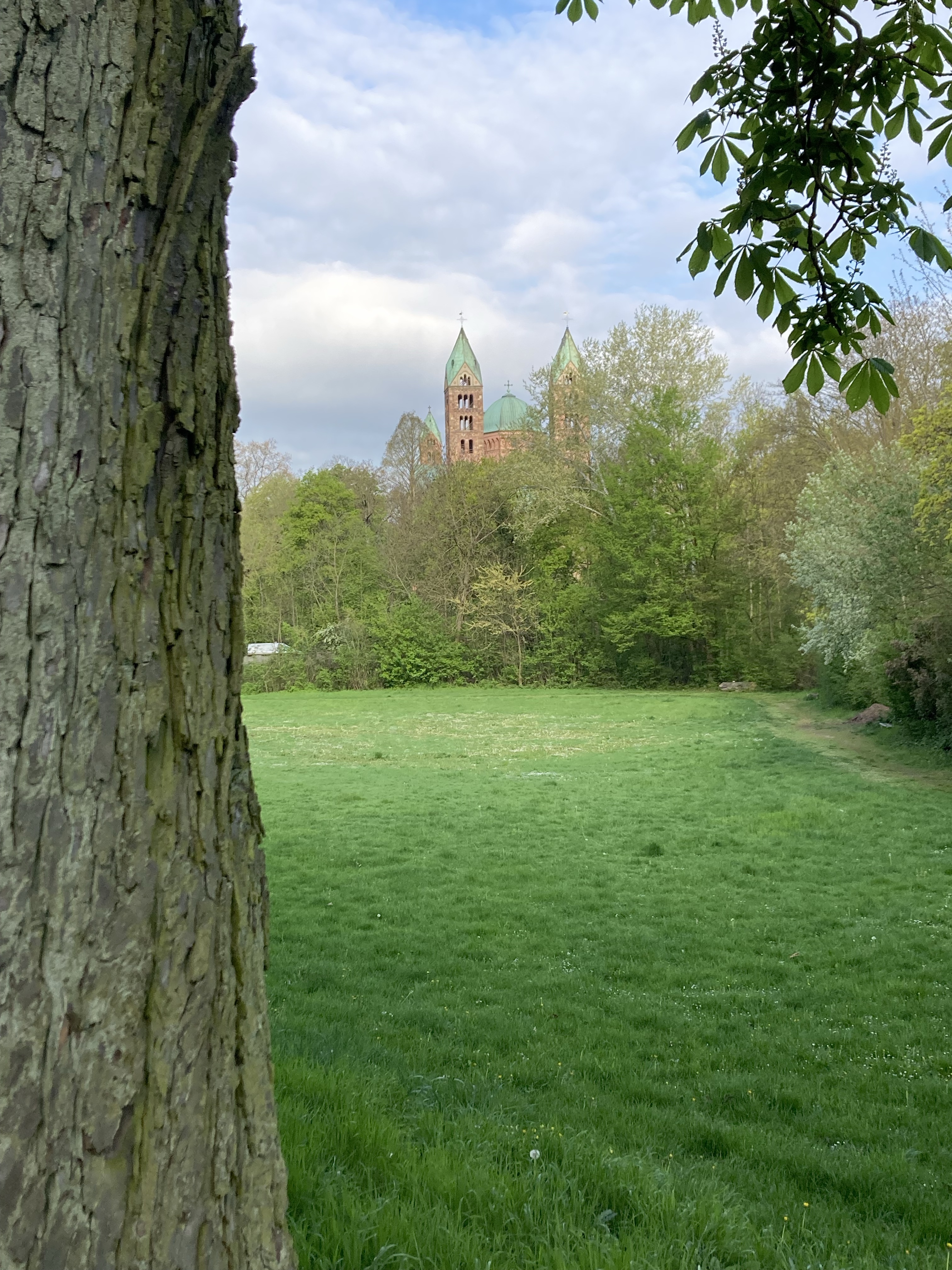 Speyer & Rudesheim Germany – April 19th
